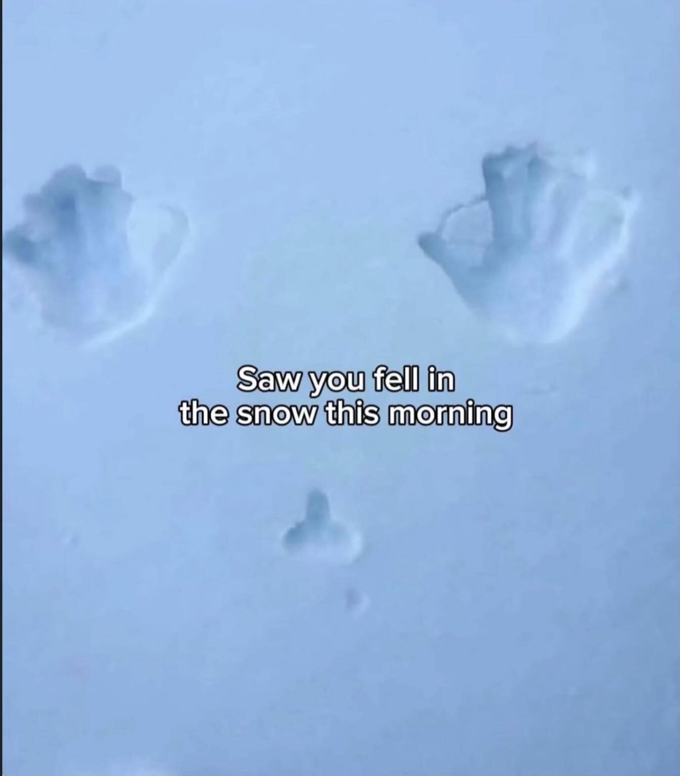 A funny meme showing a face imprint in the snow with the caption "Saw you fell in the snow this morning."