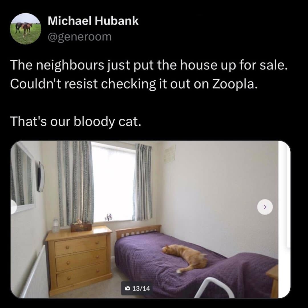 A hilarious meme tweet about finding your own cat sleeping on a neighbor's bed in a real estate listing.