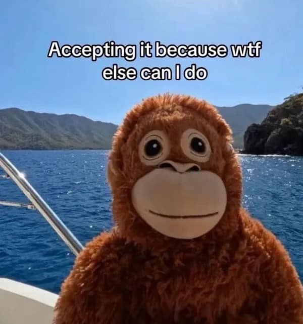A funny meme featuring a plush orangutan sitting on a boat looking out at the sea, with text about accepting life's circumstances.