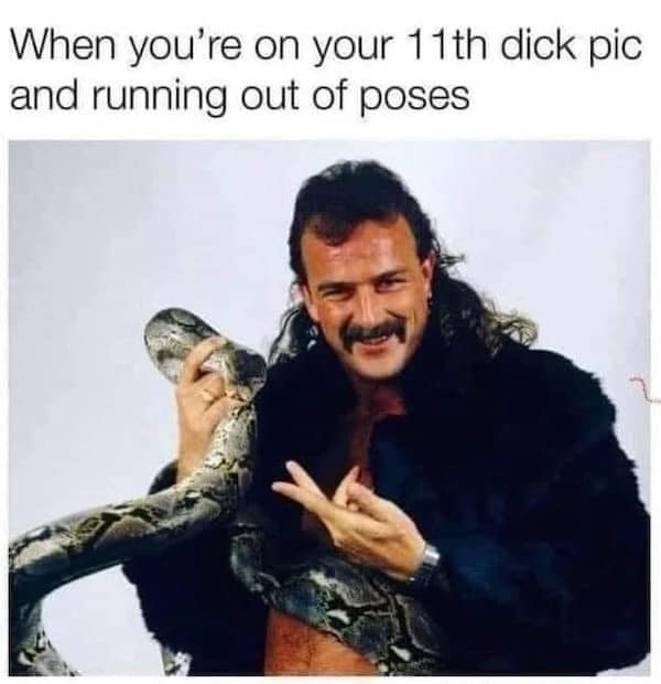 A funny meme of Jake the Snake Roberts posing with a snake captioned about running out of poses for pics.