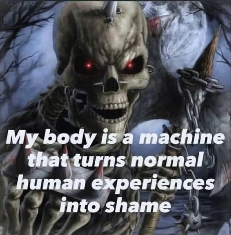 A funny meme of an edgy skeleton with red eyes stating that his body turns normal human experiences into shame.