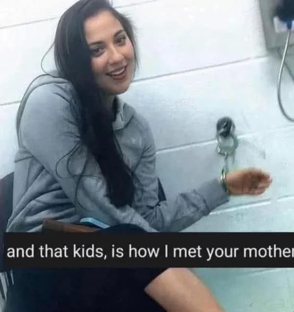 A hilarious meme featuring a photo of a woman in handcuffs, captioned "and that kids, is how I met your mother."
