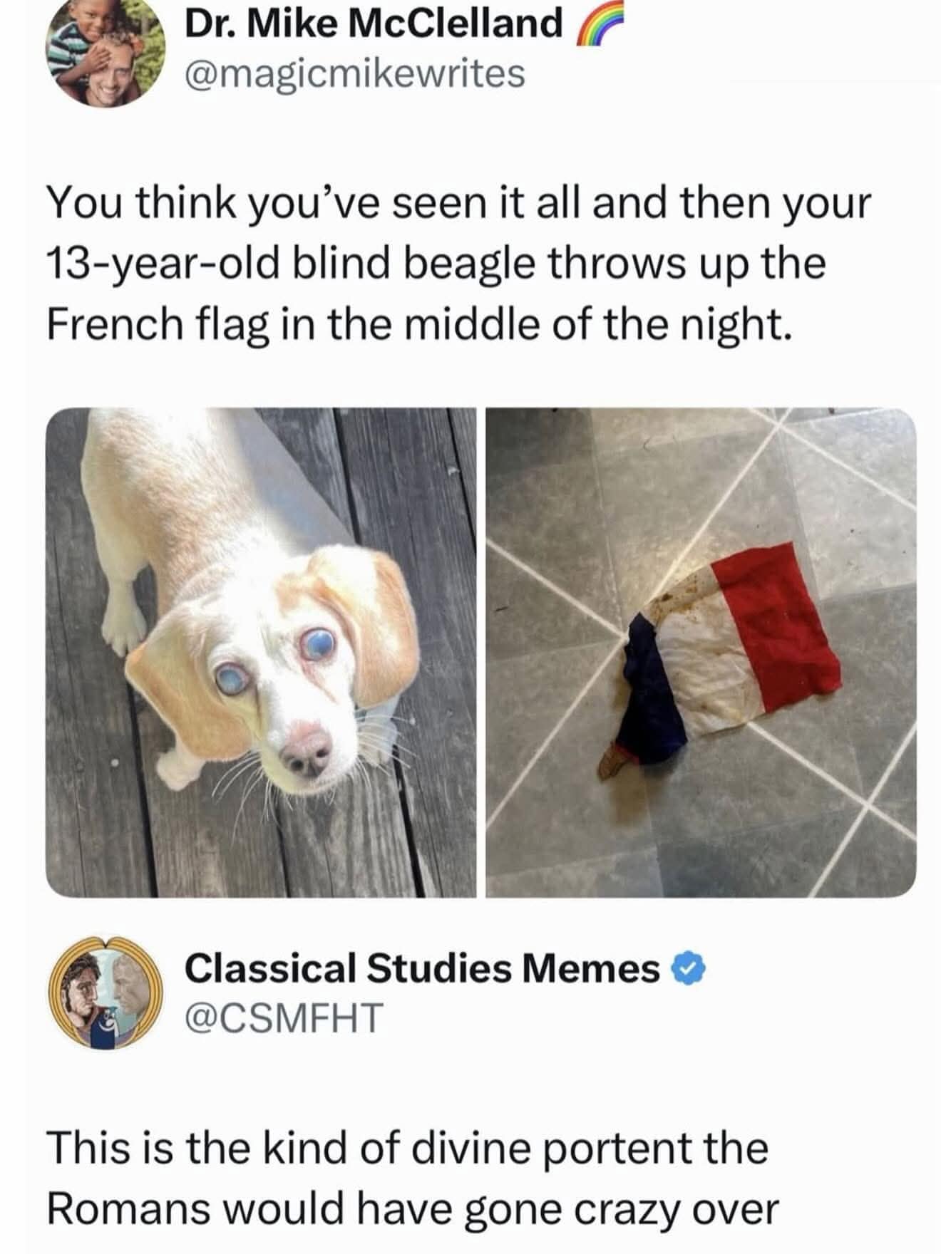 A funny meme comparing a dog's vomit shaped like the French flag to a divine portent that would have panicked ancient Romans.