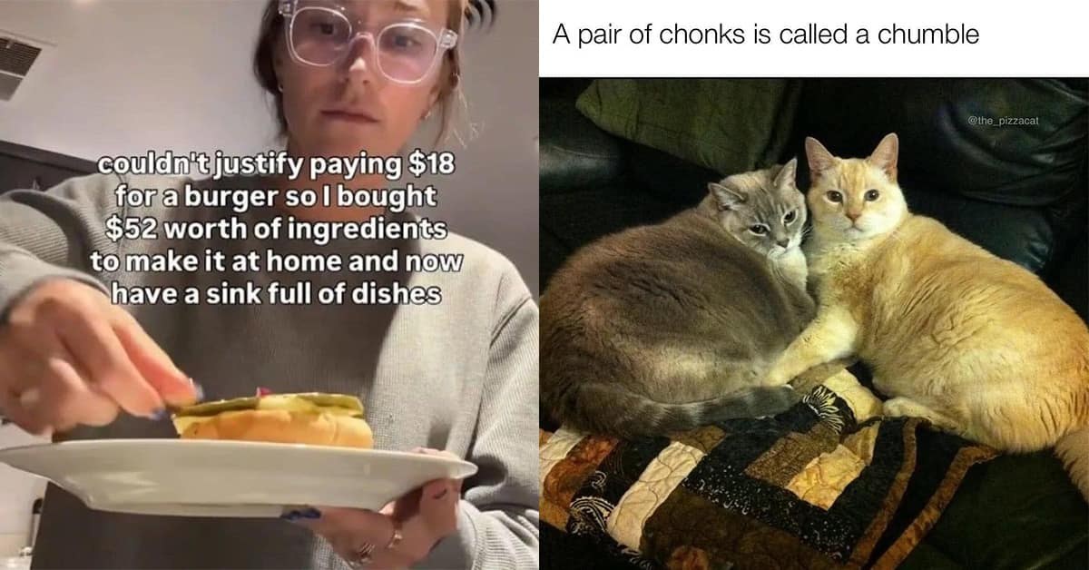 Collection of meme dump highlights including the PC gamer on the subway, the expensive homemade burger, and the ceiling fan speed settings.