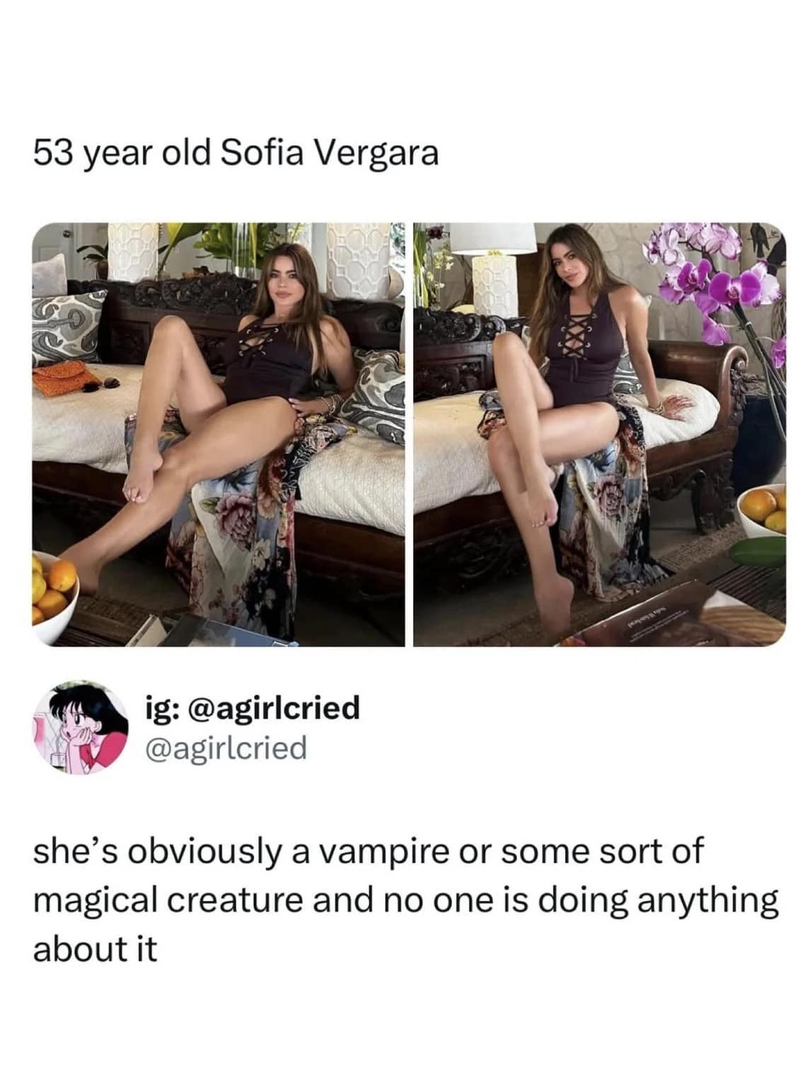 A funny meme comparing two photos of Sofia Vergara at age 53 looking incredibly young and stunning.