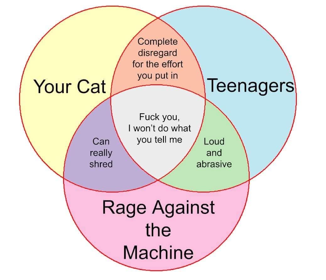 A hilarious memes Venn diagram comparing a cat, a teenager, and the band Rage Against the Machine, with the center saying "f*** you, I won't do what you tell me."