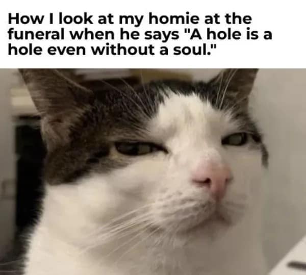 A funny meme featuring a cat with a judgmental, squinting expression, captioned about a friend making an inappropriate joke at a funeral.