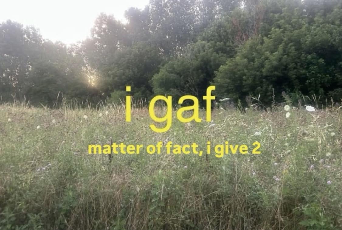 A funny meme landscape photo with yellow text overlay saying "i gaf matter of fact, i give 2."