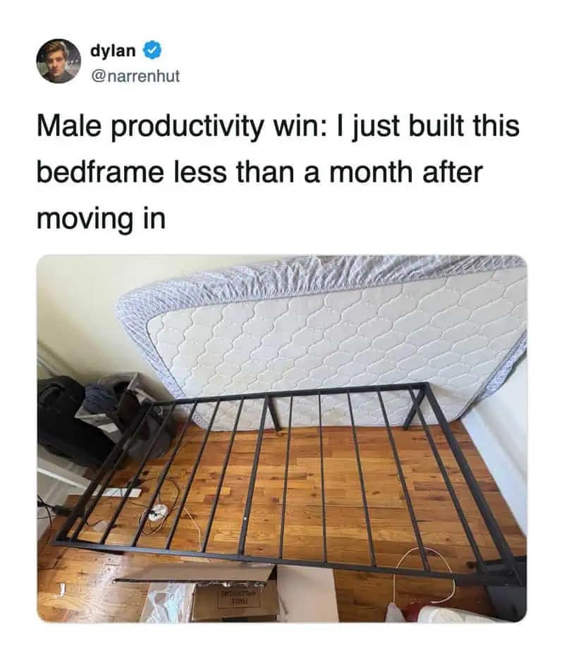A funny meme tweet by Dylan celebrating "male productivity" for building a bed frame within a month of moving.