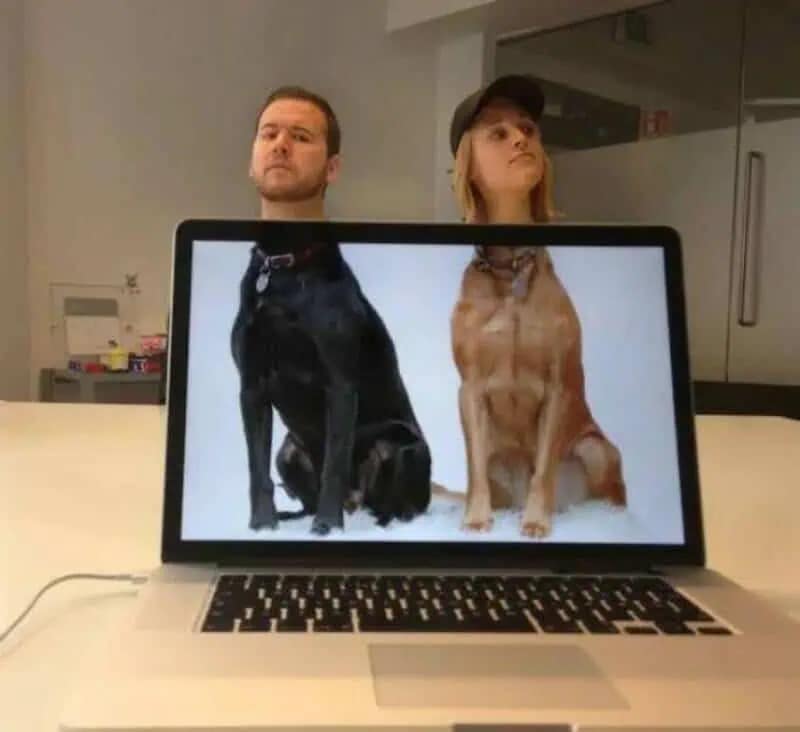 A funny meme photo where two people's heads perfectly align with dog bodies on a laptop screen.