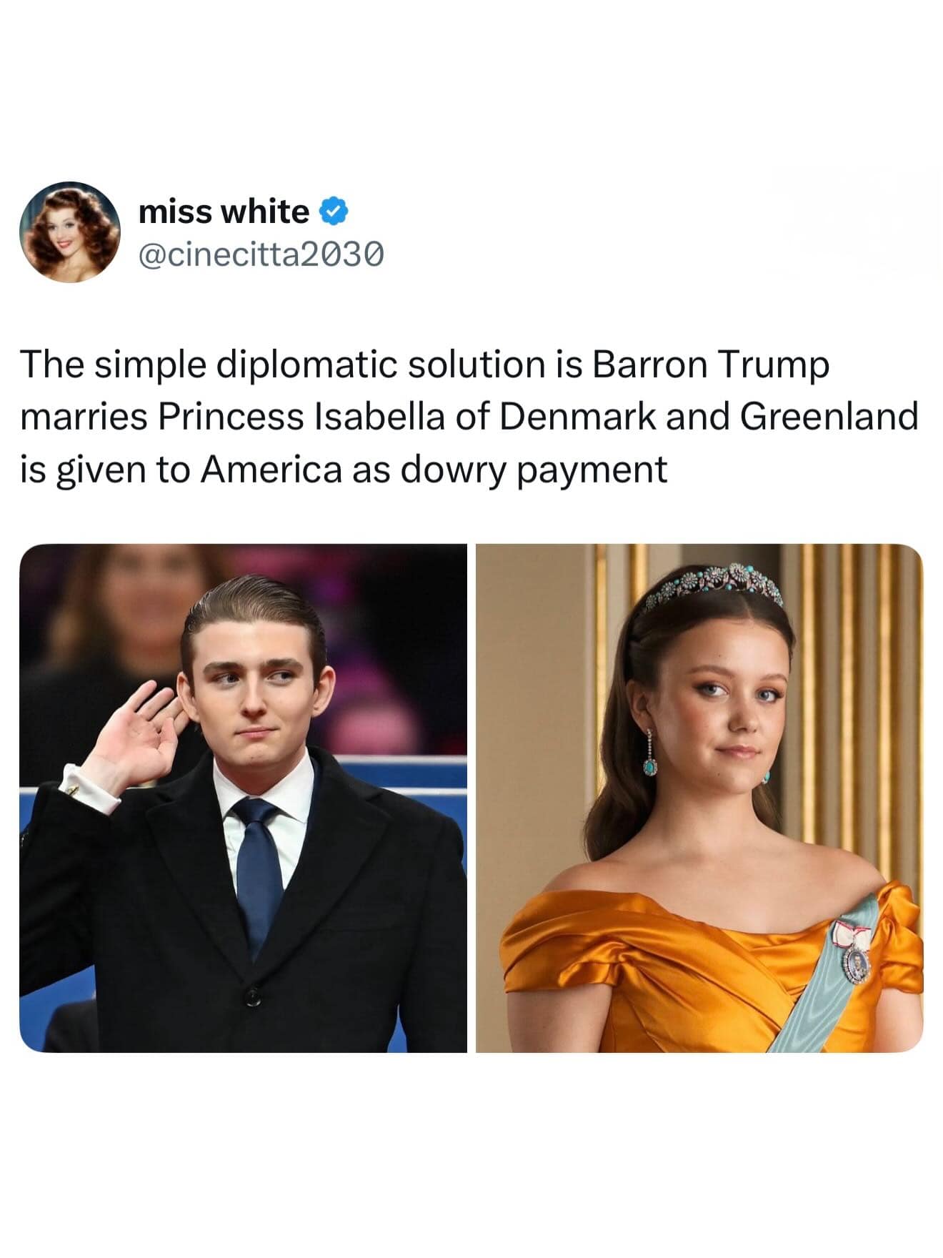 A hilarious meme tweet proposing a marriage between Barron Trump and Princess Isabella to get Greenland.