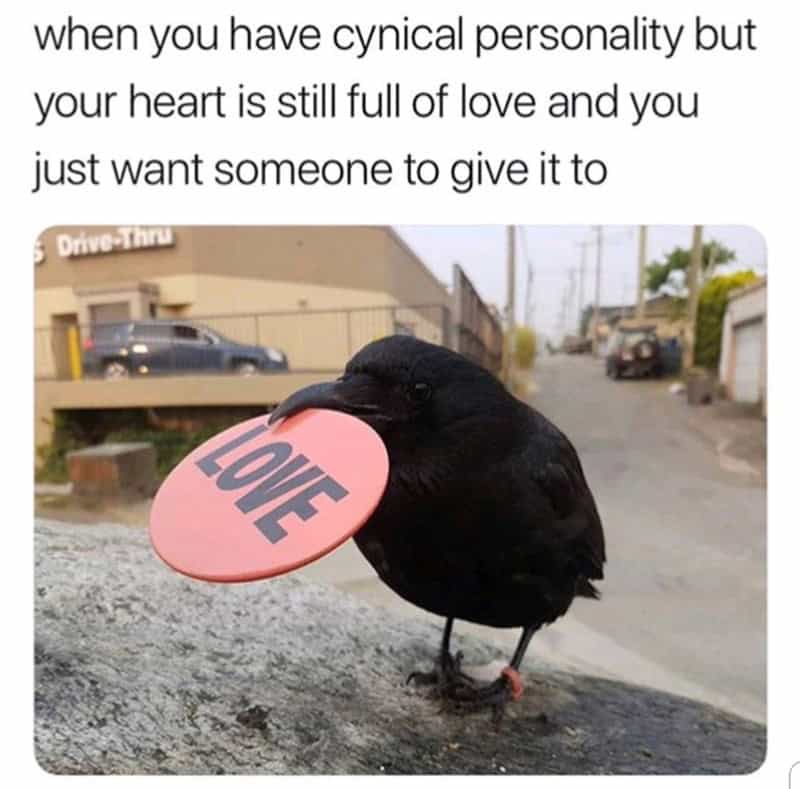 A mental health meme showing a crow holding a "Love" sign, representing a cynical person with a secret soft side.