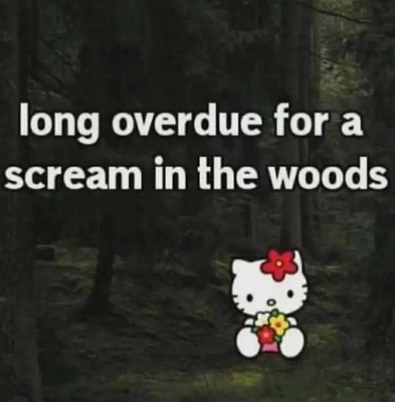 A mental health meme featuring Hello Kitty in a dark forest with text about needing to scream in the woods.