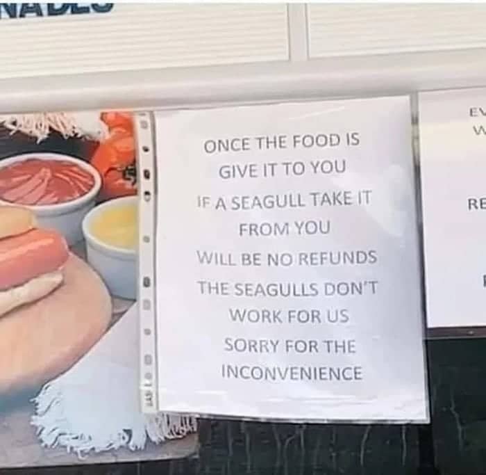 Counter sign warning that seagulls don't work for the restaurant.