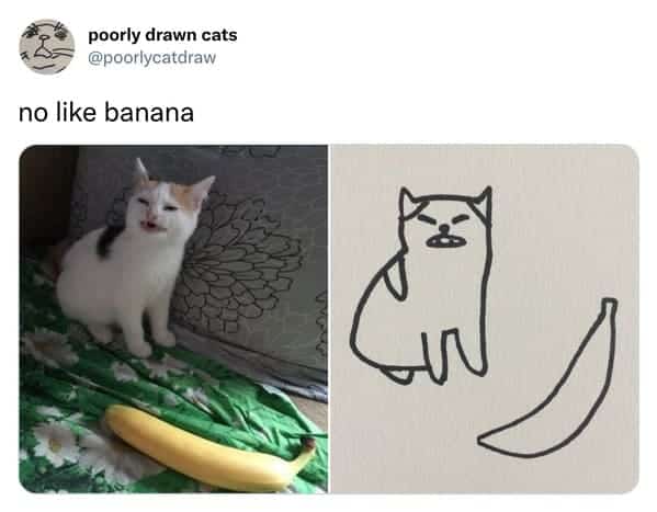 White and orange cat making a disgusted scrunched face at a banana.
