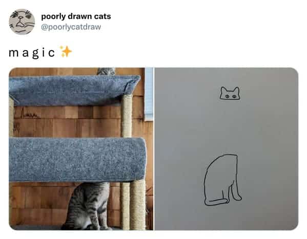 Cat body with missing head under a shelf compared to a floating eyes drawing.