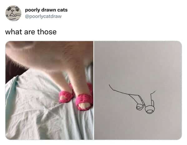 Close up of cat paws wearing tiny pink knitted sandals next to a sketch.