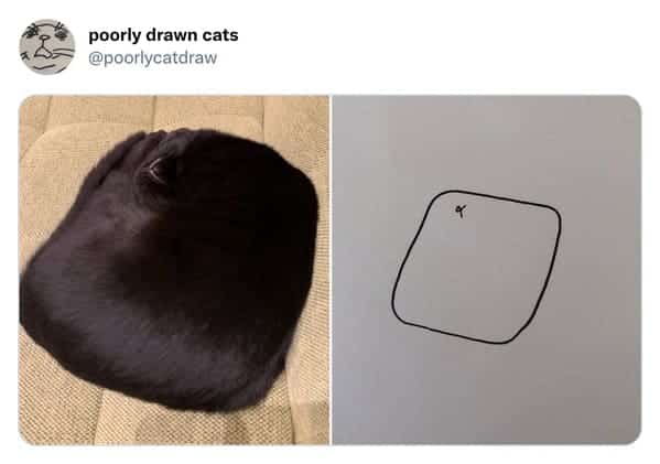 Black cat curled into a perfect square shape on a beige sofa.