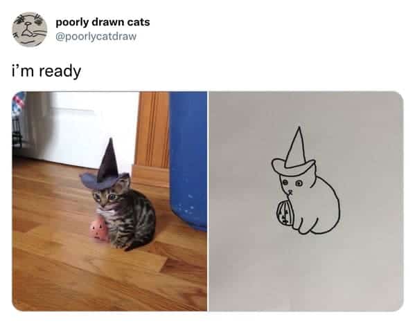Small kitten wearing a witch hat sitting next to a miniature pumpkin.