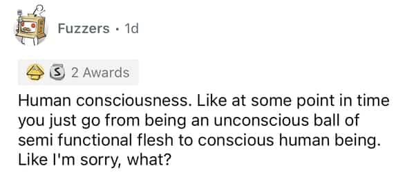 Reddit user questioning the sudden transition from unconscious flesh to a conscious human being during development.
