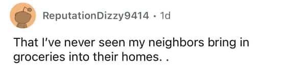 Reddit user realizing they have never witnessed their neighbors carrying grocery bags into their house.