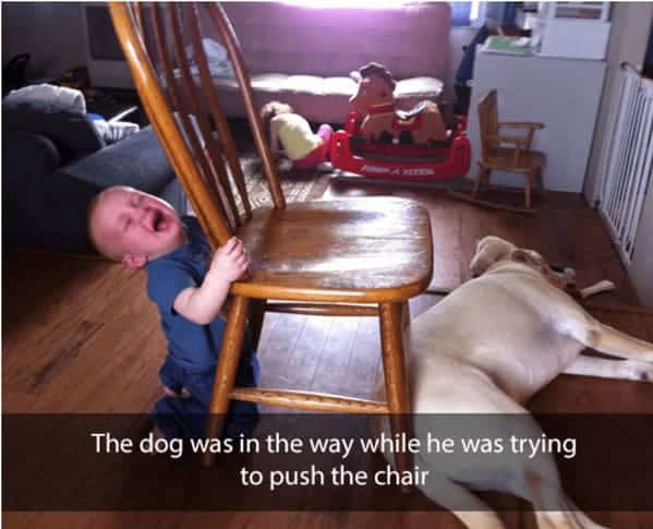 Baby crying pushing wooden chair while yellow lab dog lies in the way blocking him.