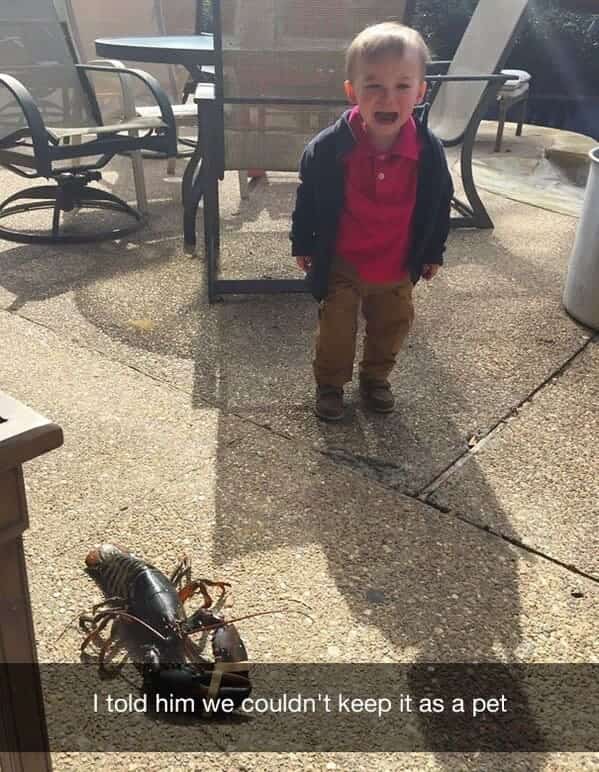 Toddler crying outside near a live lobster because he cannot keep it as a pet.