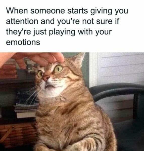 40 Relatable Memes That Prove We’re All Just Winging It