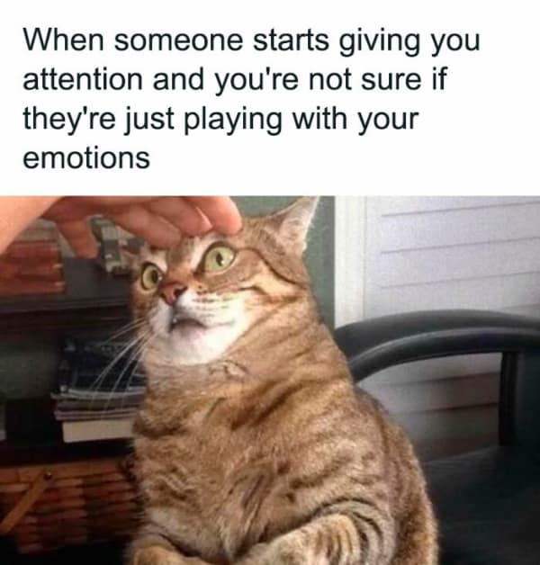 A relatable meme of a cat looking skeptical and suspicious while receiving head pats.