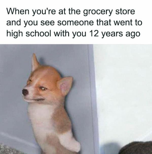 A relatable meme of a dog standing awkwardly against a wall trying to hide from someone.