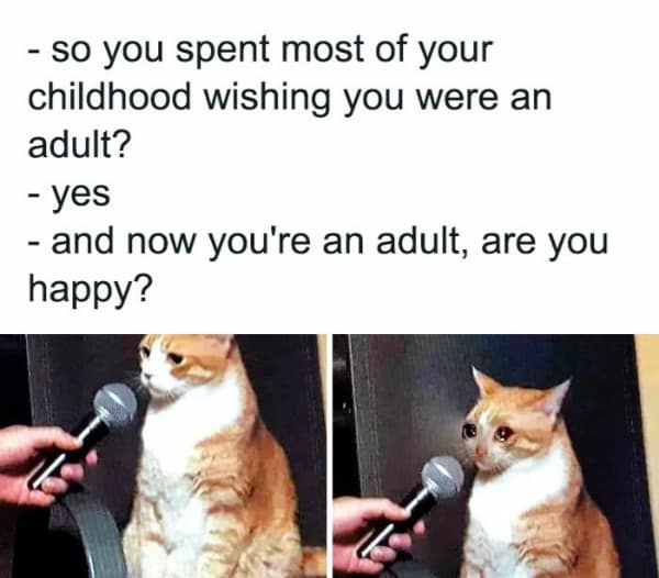 A relatable meme interview with a cat crying into a microphone about wishing to be an adult.