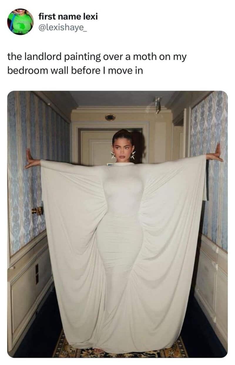 A funny meme about renting using Kylie Jenner's dress to represent a moth painted over by a landlord.