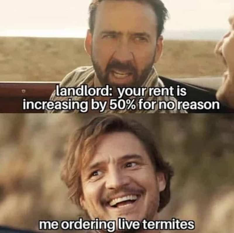 A renter meme using Nic Cage and Pedro Pascal to joke about rent increases and termites.
