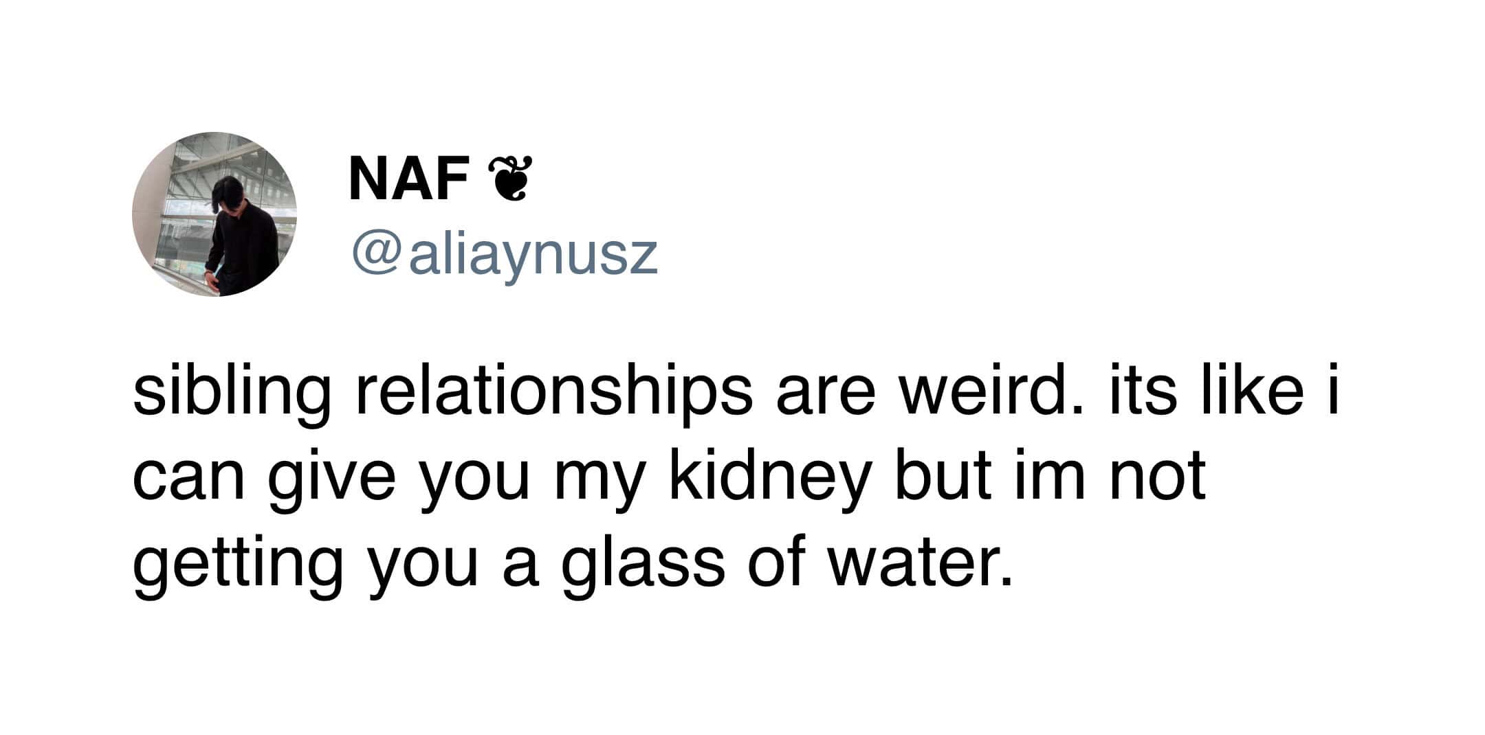 Sibling meme of a tweet saying sibling relationships are weird because you’d give a kidney but won’t fetch water.