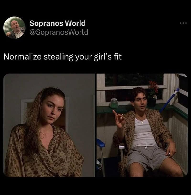 A sopranos meme showing a split image of Adriana La Cerva looking serious and Christopher Moltisanti wearing her exact leopard print robe.