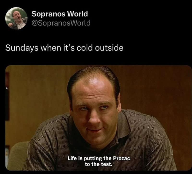 A sopranos meme of Tony Soprano smiling awkwardly, captioned about Sundays when it is cold outside and "life is putting the Prozac to the test."