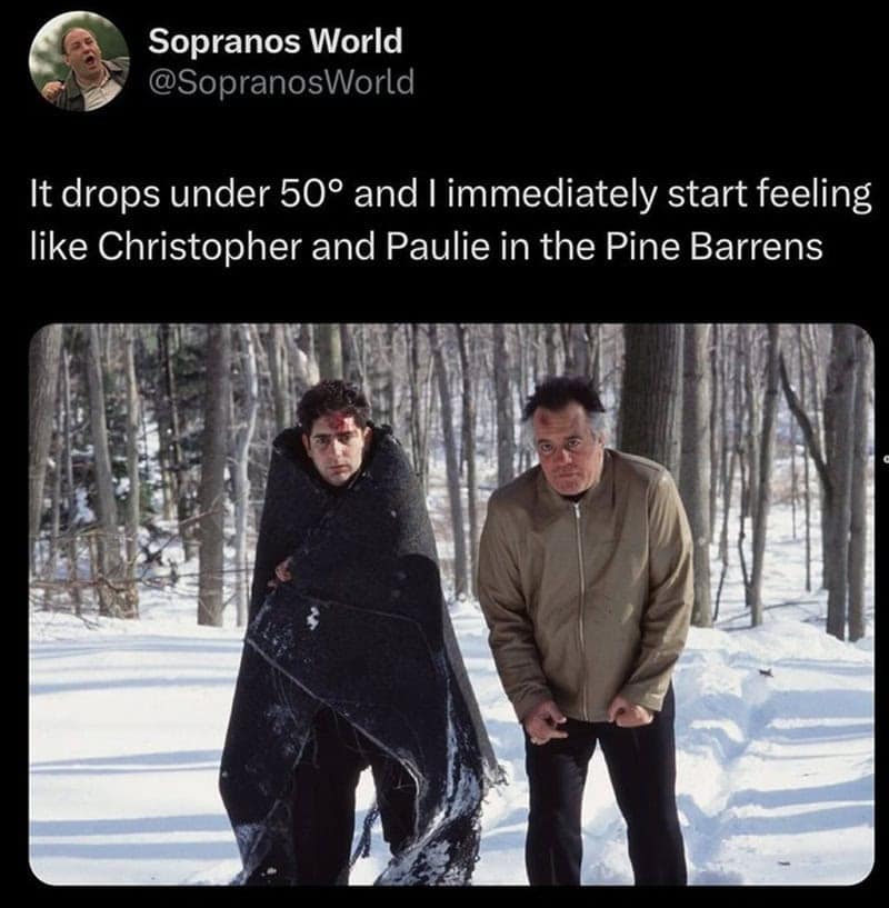 A sopranos meme showing Christopher and Paulie freezing in the snowy woods from the "Pine Barrens" episode, captioned about drops below 50 degrees.