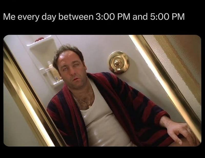 A sopranos meme of Tony Soprano sitting on the toilet fully clothed in a robe, looking spaced out and exhausted.