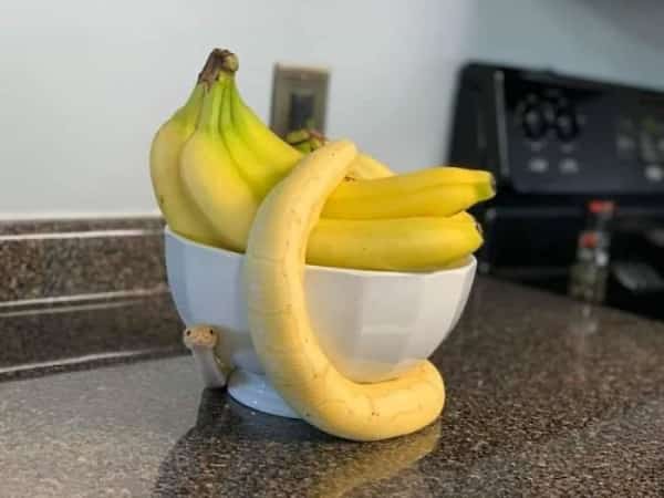 Yellow snake blending in perfectly with a bunch of bananas in a white bowl.