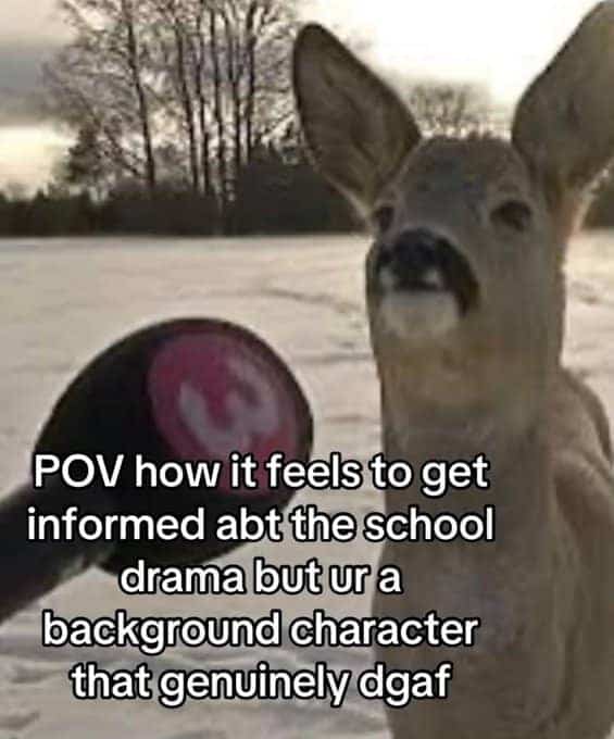 POV meme of a deer reacting to school drama like a background character.