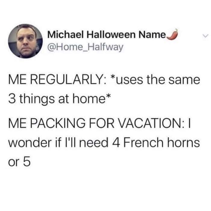 Vacation meme of a tweet about using only three things at home but packing multiple French horns for vacation.