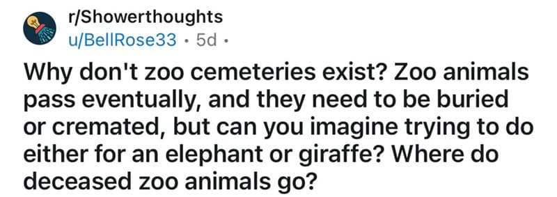 Reddit post asking where dead zoo animals like elephants are buried.