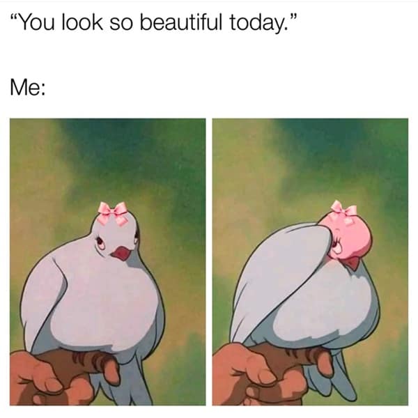 A wholesome meme showing a pigeon wearing a pink bow reacting shyly to being called beautiful.