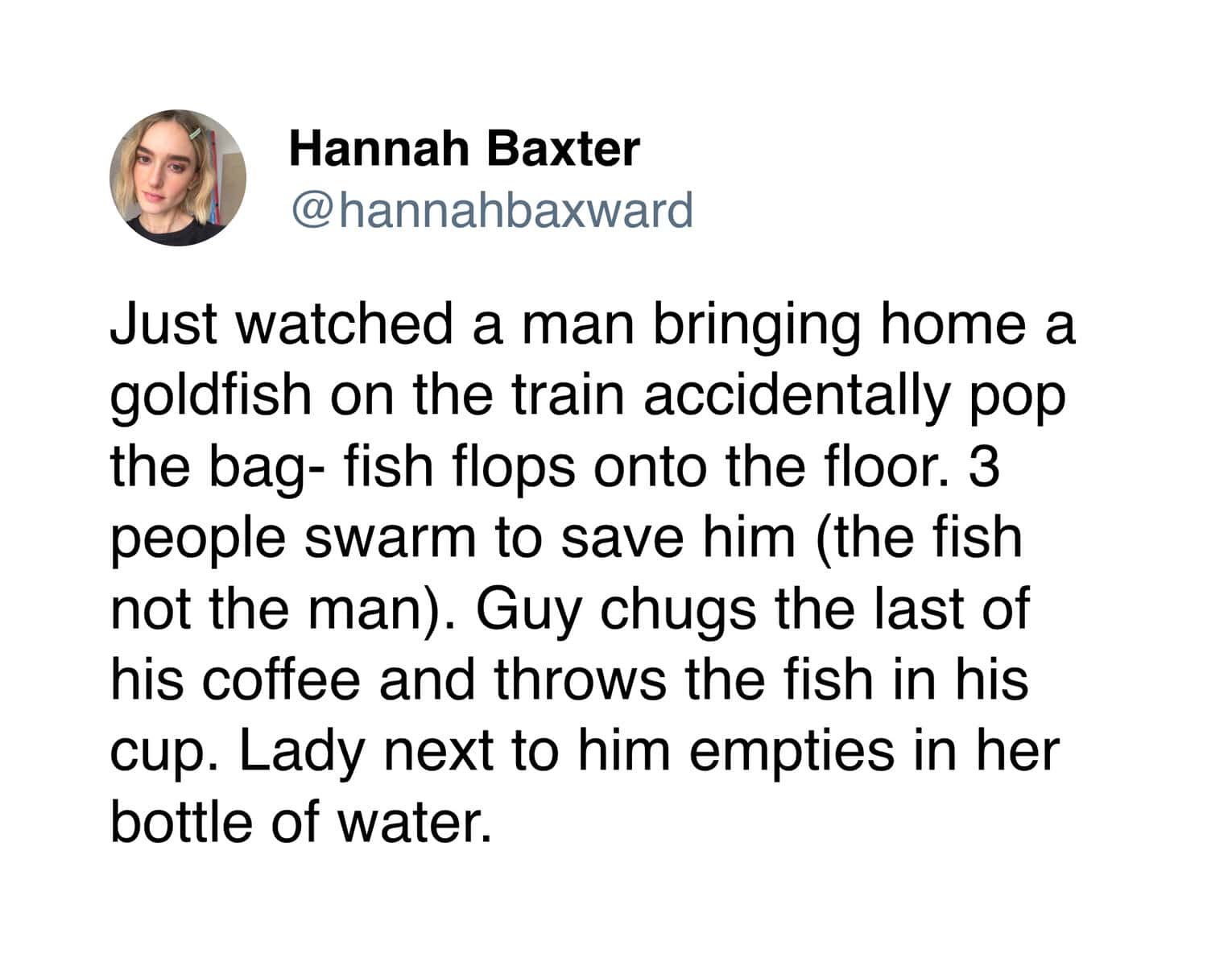 A wholesome meme tweet by Hannah Baxter recounting strangers on a train working together to save a goldfish.