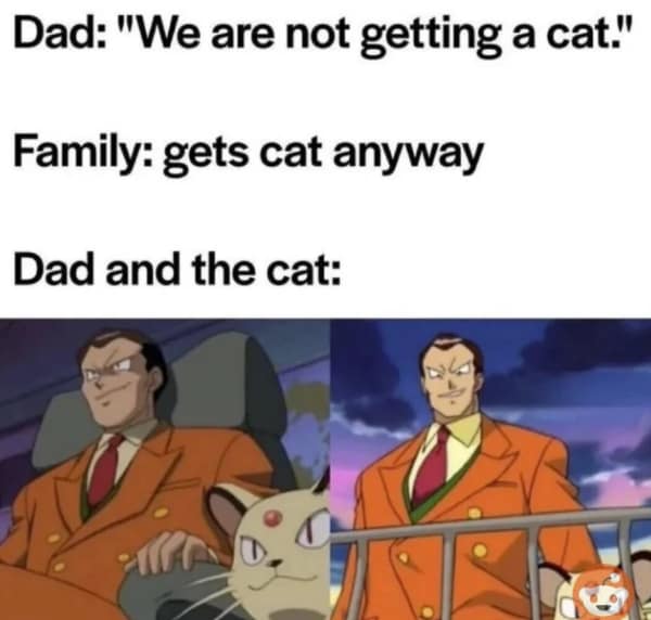 A wholesome meme comparing a dad with a cat he didn't want to Giovanni and Persian from Pokemon.