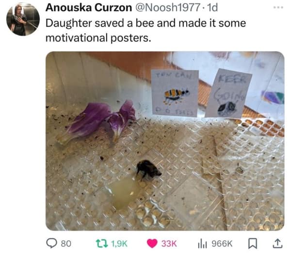 A heartwarming meme photo of a tired bee with tiny motivational posters drawn by a child.