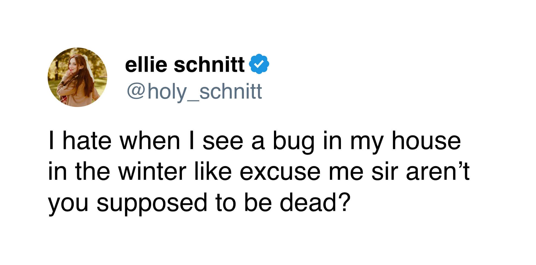 A funny tweet about winter complaining about seeing a bug in the house when they are supposed to be dead.