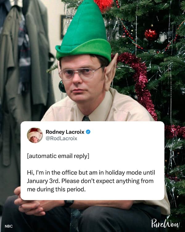 A meme of Dwight Schrute in an elf hat with an auto reply saying he is in holiday mode until January.