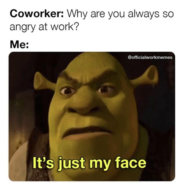 A work meme of Shrek looking blankly ahead explaining that his angry face is just his normal face.