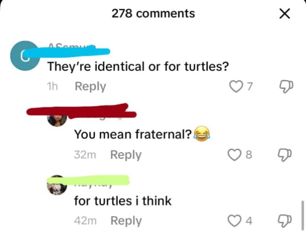 A hilarious instance of people forgetting the word about twins, asking if they are "identical or for turtles," completely butchering the word "fraternal" and aggressively doubling down on the mistake.